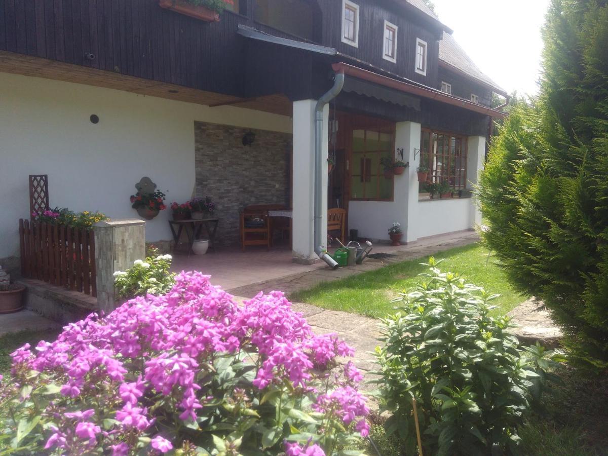 Ubytovani U Sviraku Srbská Kamenice Exterior foto